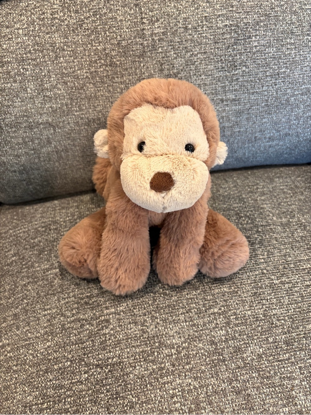 Jellycat Smudge Monkey